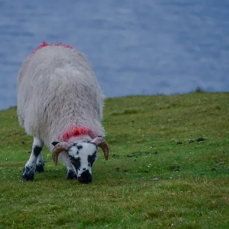 アパート No.3 Mill Park A Luxury Self-catering *