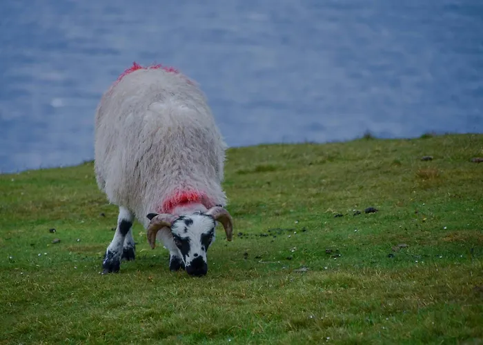 Apartamento No.3 Mill Park A Luxury Self-catering *